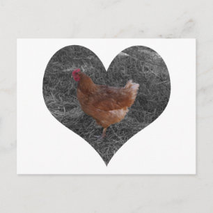 Postal de pollo con forma de corazón