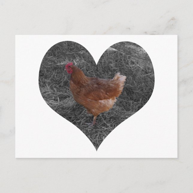 Postal de pollo con forma de corazón (Anverso)