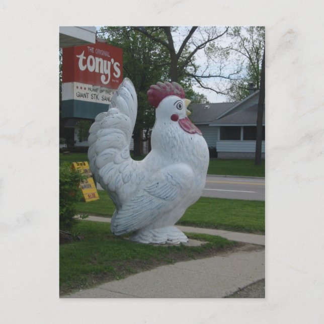 Postal de pollo grande (Anverso)