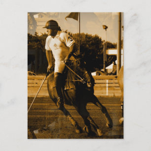 Postal de polo
