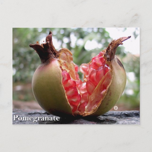 Postal de Pomegranato (Anverso)