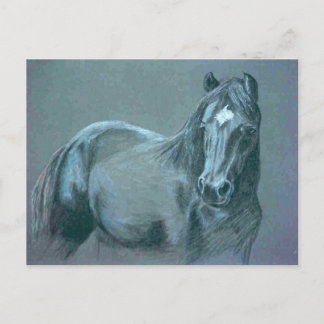 Postal de Pony Negro