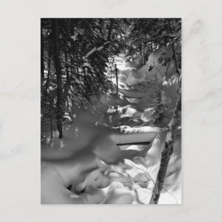 Postal de primavera de arce - 1