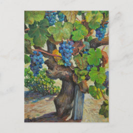 Postal de productor a 100 años