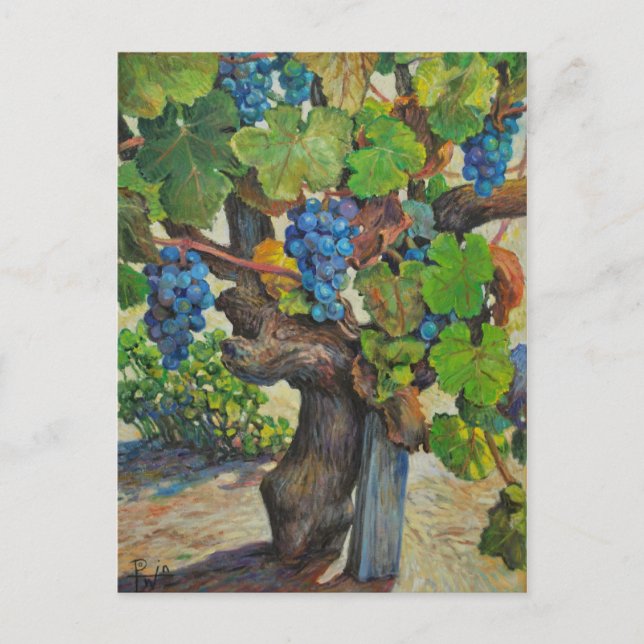 Postal de productor a 100 años (Anverso)