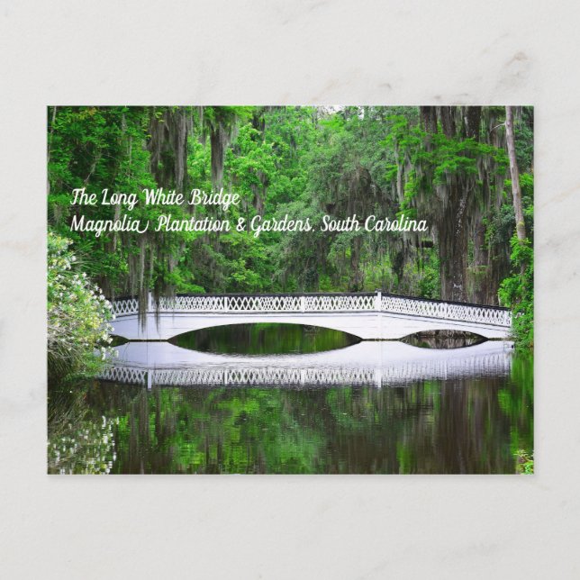 Postal de puente blanco largo (Anverso)