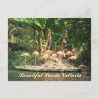 Postal de Puerto Vallarta