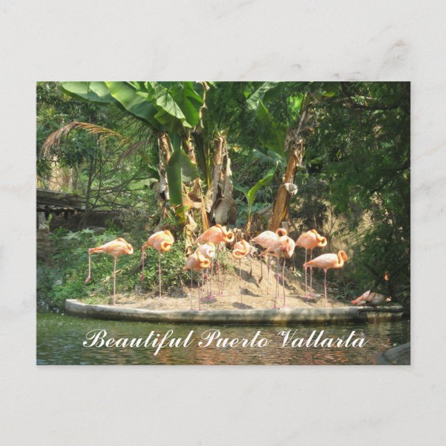 Postal de Puerto Vallarta (Anverso)
