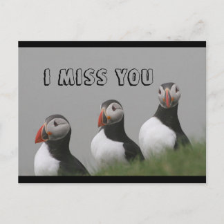 Postal de Puffins
