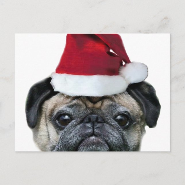 postal de pug de navidades (Anverso)