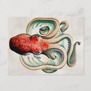 Postal de pulpo vintage