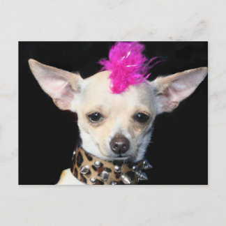 Postal de Punk de Chihuahua