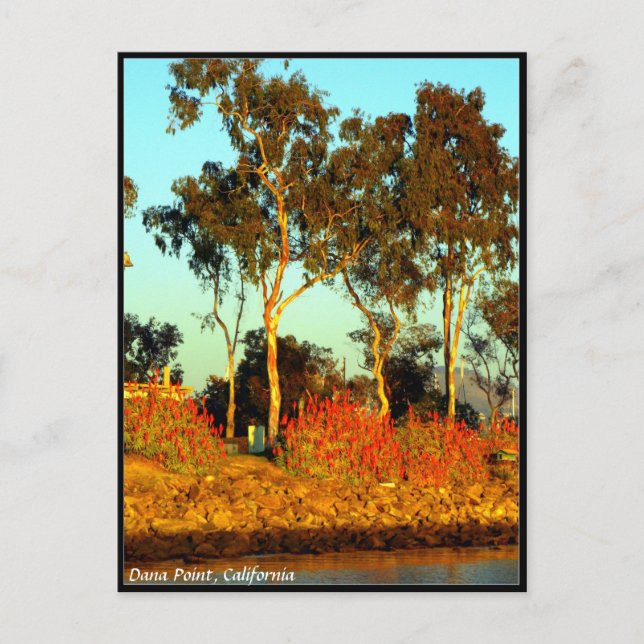 Postal de punto Dana (Anverso)