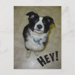 Postal de pupila de cuajo