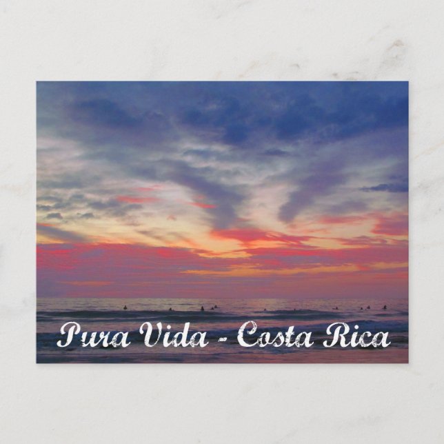 Postal de Pura Vida de la puesta del sol de la (Anverso)