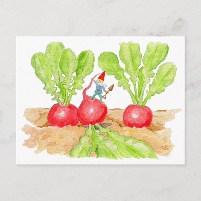 Postal de Radish Garden Gnome (Anverso)