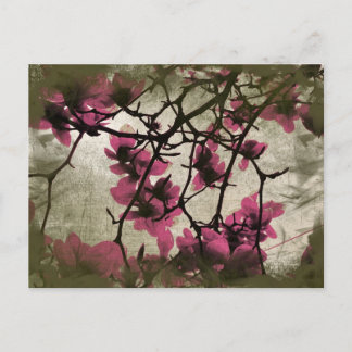 Postal de ramas de flores de frambuesa de chocolat