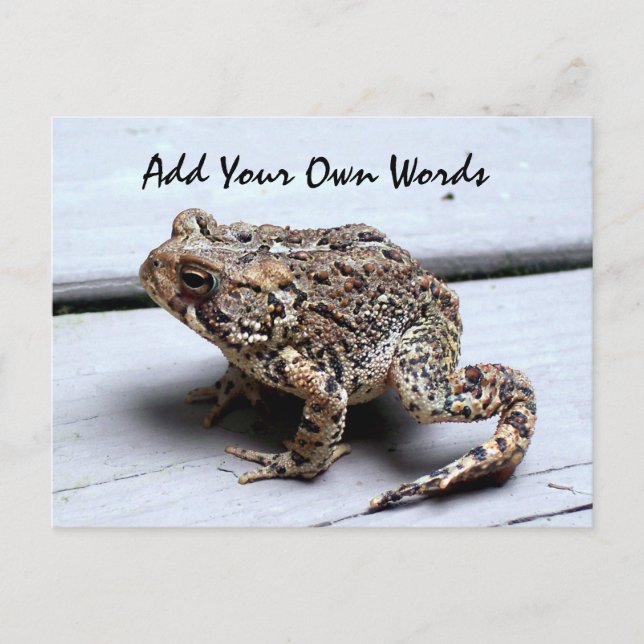 Postal de rana (Anverso)