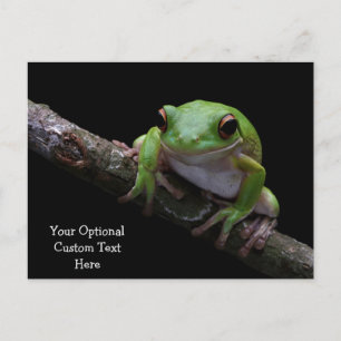 Postal de rana de texto personalizado