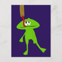 Postal de rana y flypaper