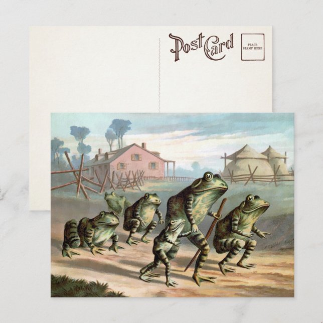 Postal de ranas vintage (Anverso / Reverso)