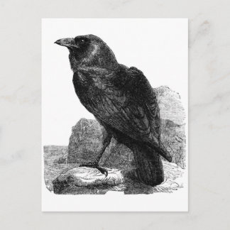 postal de Raven