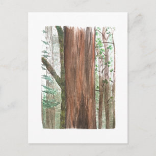 postal de redwood