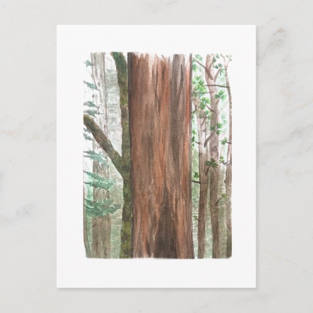 postal de redwood (Anverso)