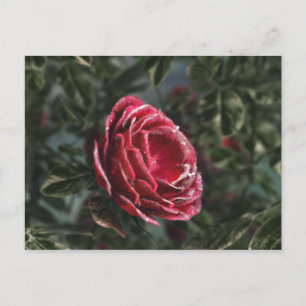 Postal de regalo de despedida de invierno