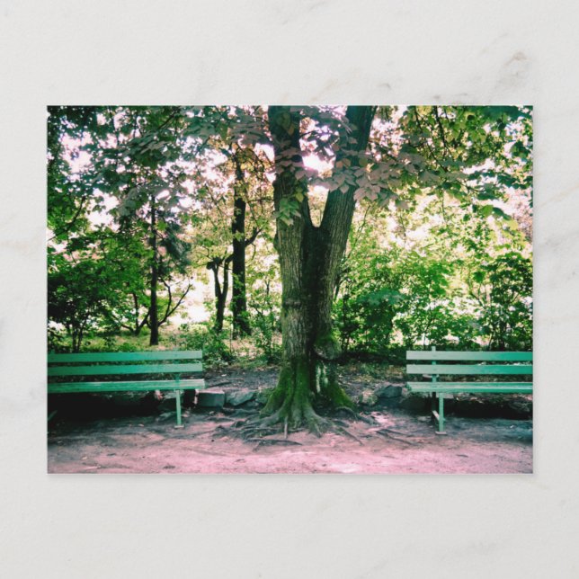 Postal de relajación (Anverso)