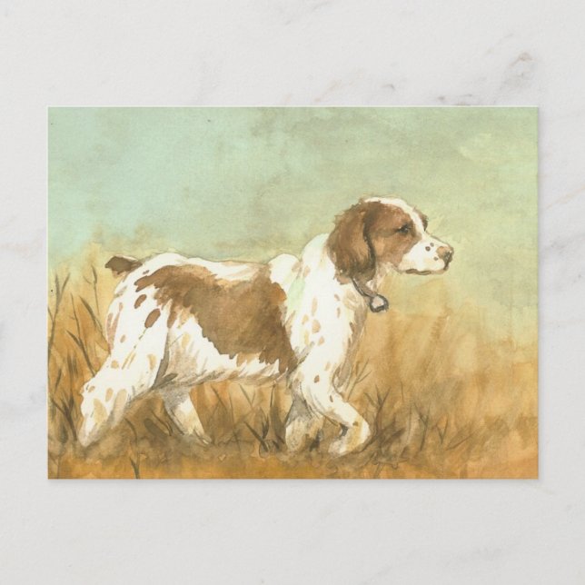 Postal de reproducción artística "Brittany Spaniel (Anverso)