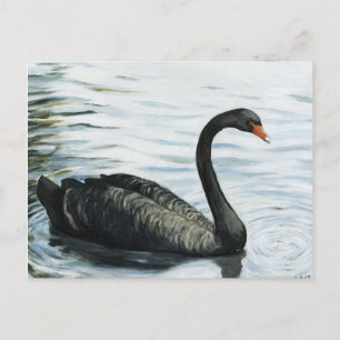 Postal de reproducción de arte de aves "cisne negr
