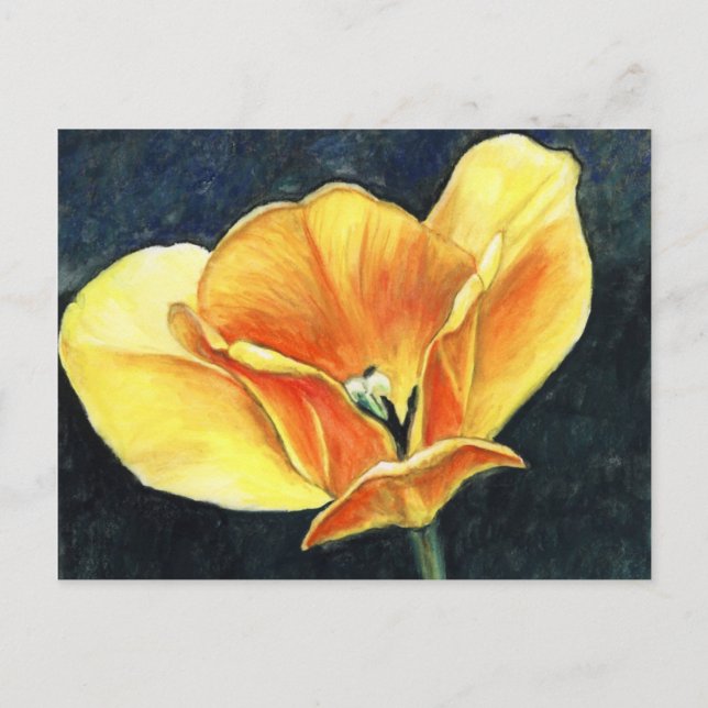 Postal de reproducción de arte de flor de tulipán (Anverso)