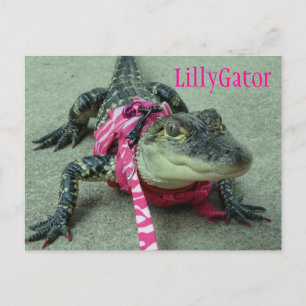 Postal de rescate del lagarto de LillyGator