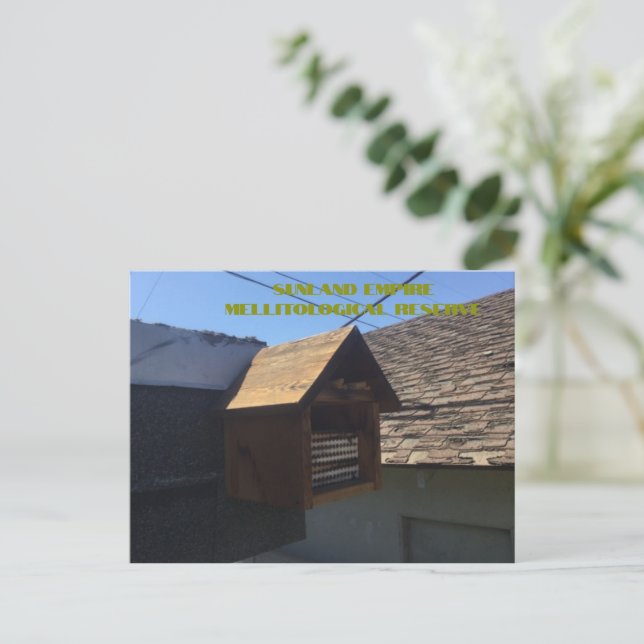 Postal de reserva Mellitológica del Imperio Sunlan (Anverso de pie)