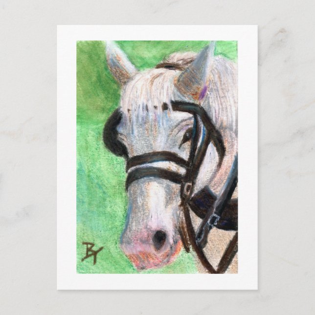 Postal de retrato de caballo (Anverso)