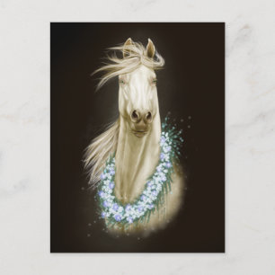 postal de retrato de caballo blanco