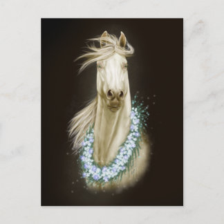 postal de retrato de caballo blanco