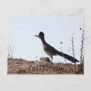 postal de RoadRunner California