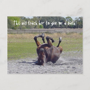 Postal de Rolling de Caballo