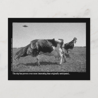 Postal de Roostercows