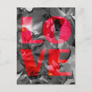 Postal de Rosa de amor