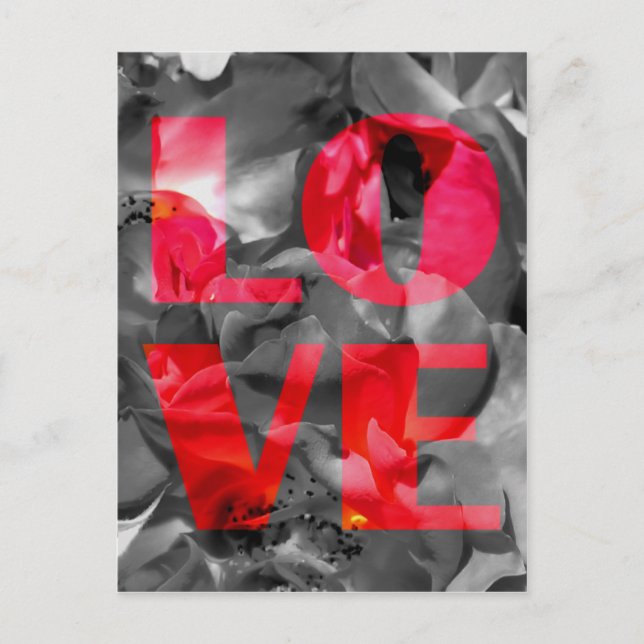 Postal de Rosa de amor (Anverso)