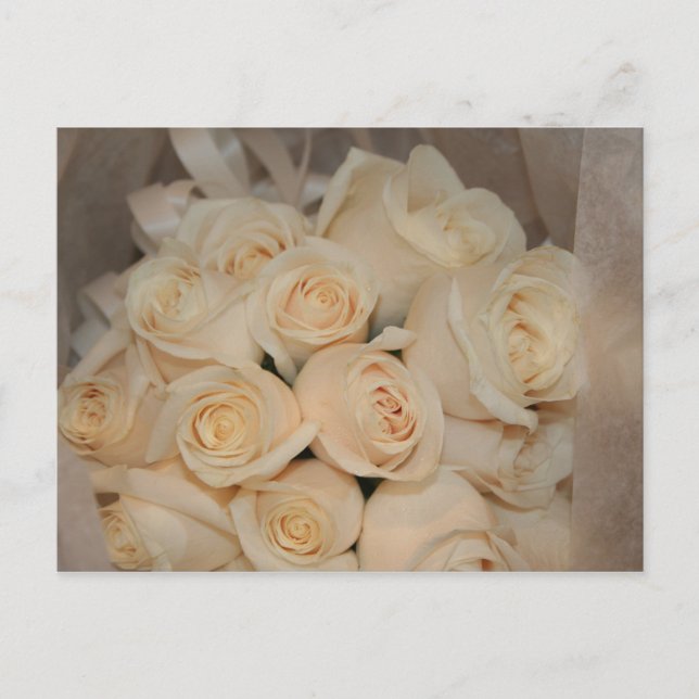 Postal de rosas blancas (Anverso)