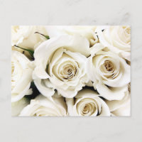 Postal de rosas blancas