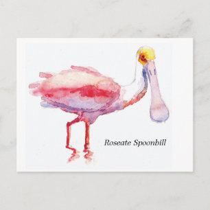 postal de Roseate Spoonbill