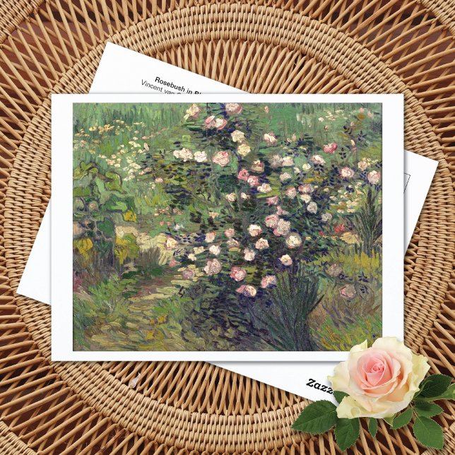 Postal de Rosebush en Blossom Vincent van Gogh (Subido por el creador)