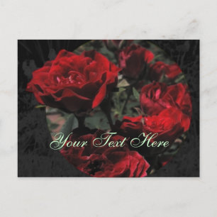 Postal de Roses Rojos