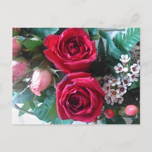 Postal de Roses Rojos (Anverso)