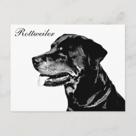postal de Rottweiler